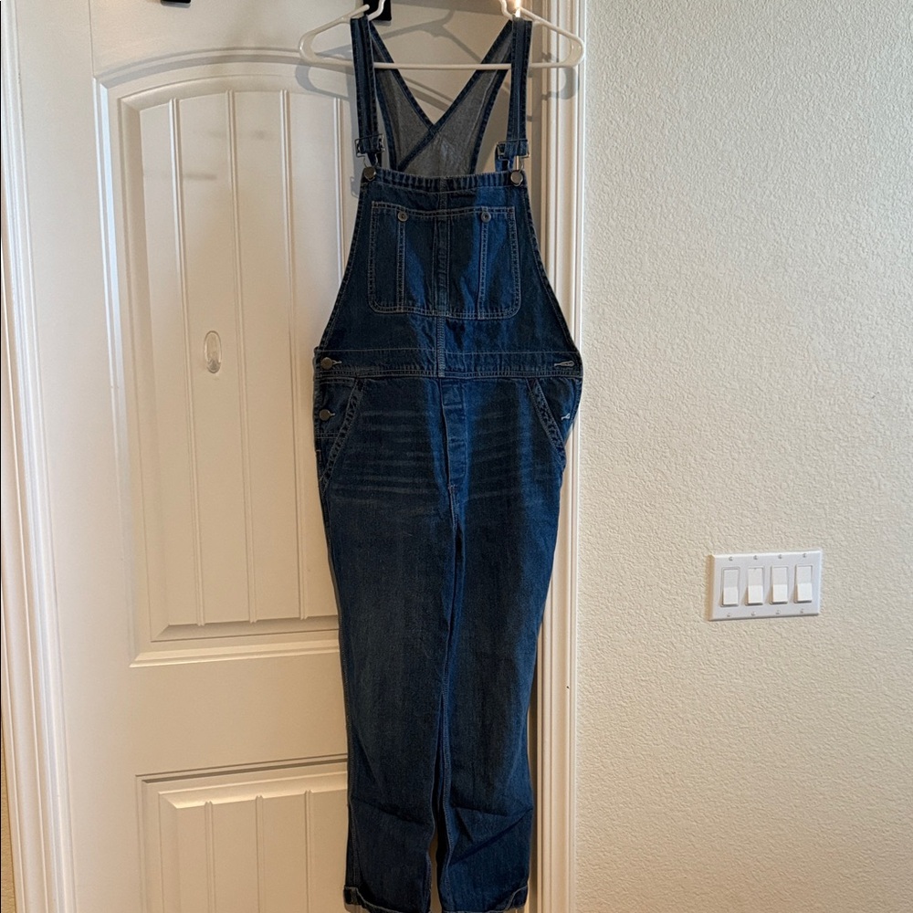 Free people Blue Denim Overalls